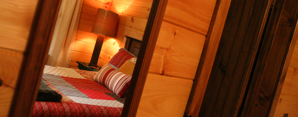 Bearfoot Cabin
