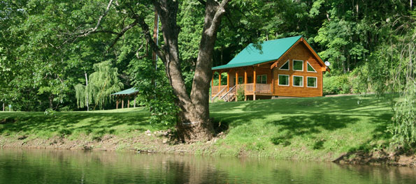 Bearfoot Cabin