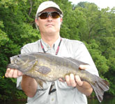 New River Smallmouth