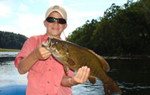 New River Smallmouth
