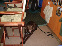 Roscoe at the fishing show.