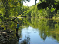 Fishing for smallmouth on Walker Creek