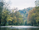 Walker Creek