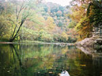 Walker Creek