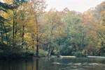 Walker Creek