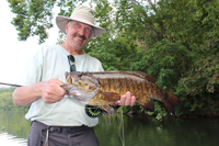 Big Bug Fish