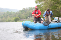 New River Fishing