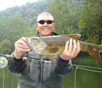 New River Fly Fishing