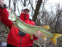 New River Musky