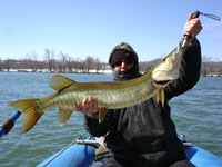 New River Musky