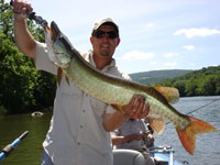 New River Musky